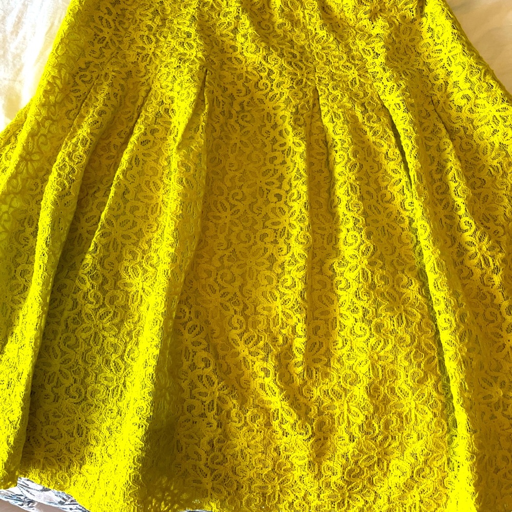 Gorgeous chartreuse lace skirt. It is knee length and from HD in Paris.